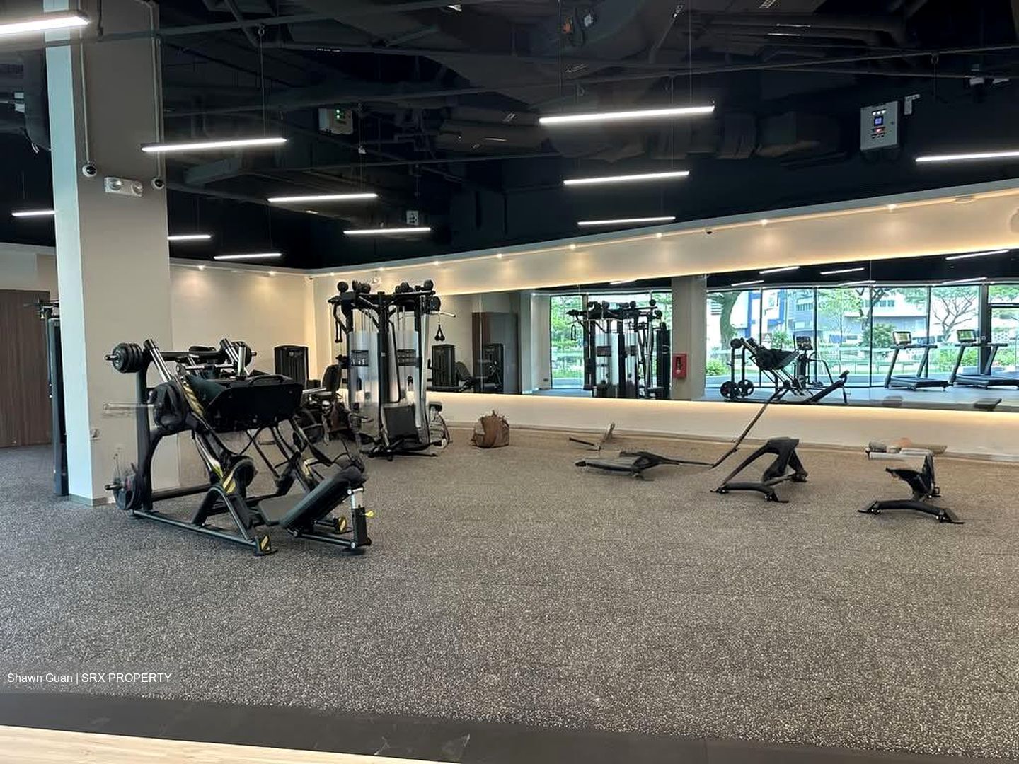 Solaris @tai Seng (D19), Office #536714361
